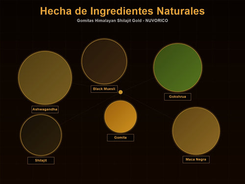 Ingredientes activos: Shilajit, Ashwagandha, Maca, Ginseng, CoQ10, L-Carnitina