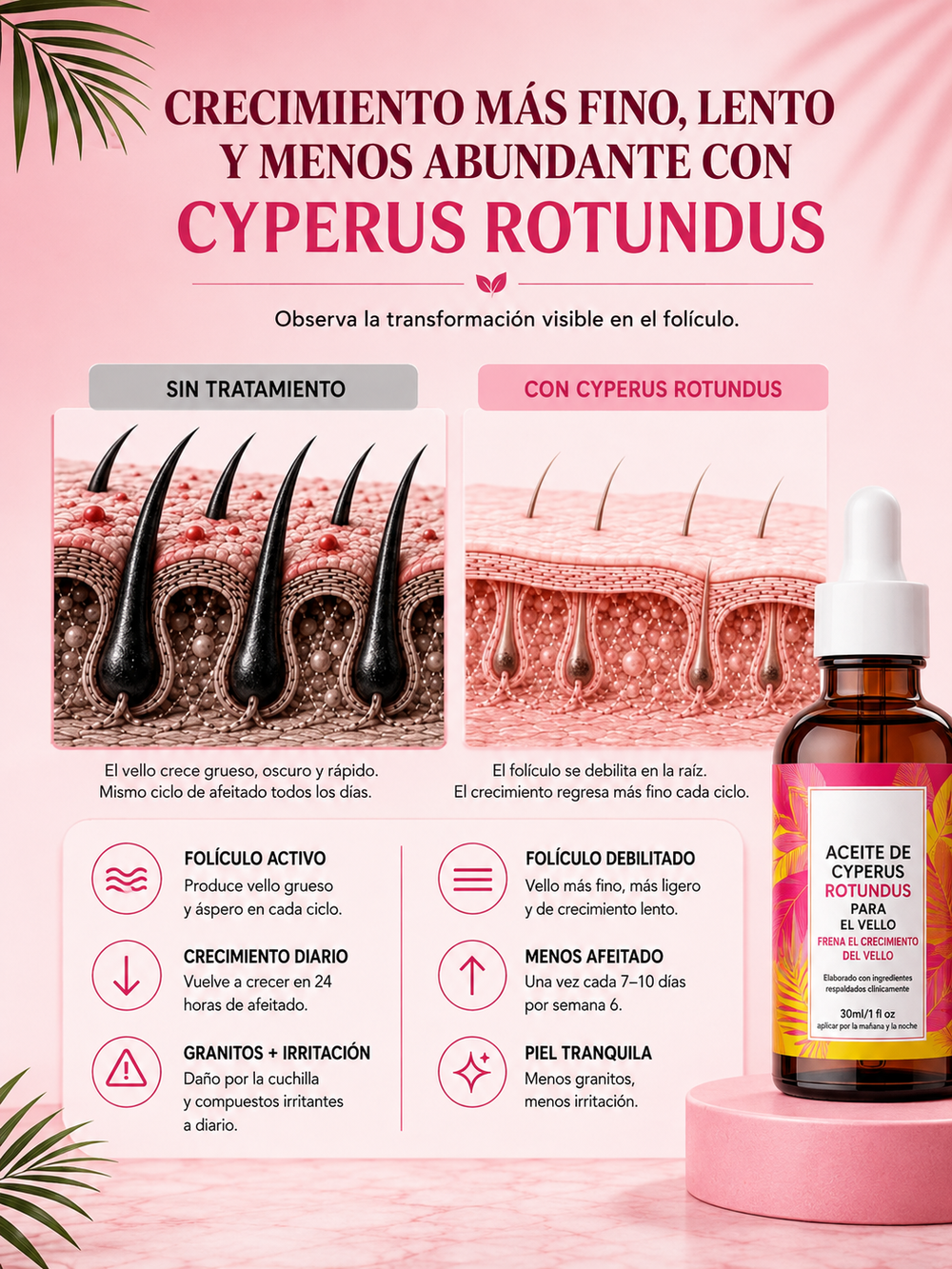 Aceite de Cyperus Rotundus — Reductor de Vello 9
